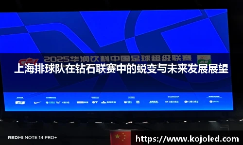上海排球队在钻石联赛中的蜕变与未来发展展望